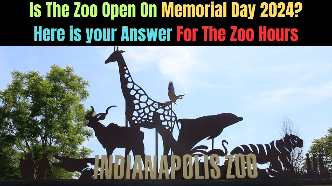 Is The Zoo Open On Memorial Day